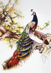 Πινακας σε καμβά PAIR OF PEACOCKS CHERRY BRANCH