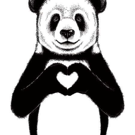 Πινακας σε καμβά PANDA HEART - Παιδικοι και set Sticky 5