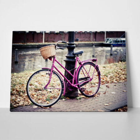 Πινακας σε καμβά PINK BIKE - Ποδηλατα Sticky 1