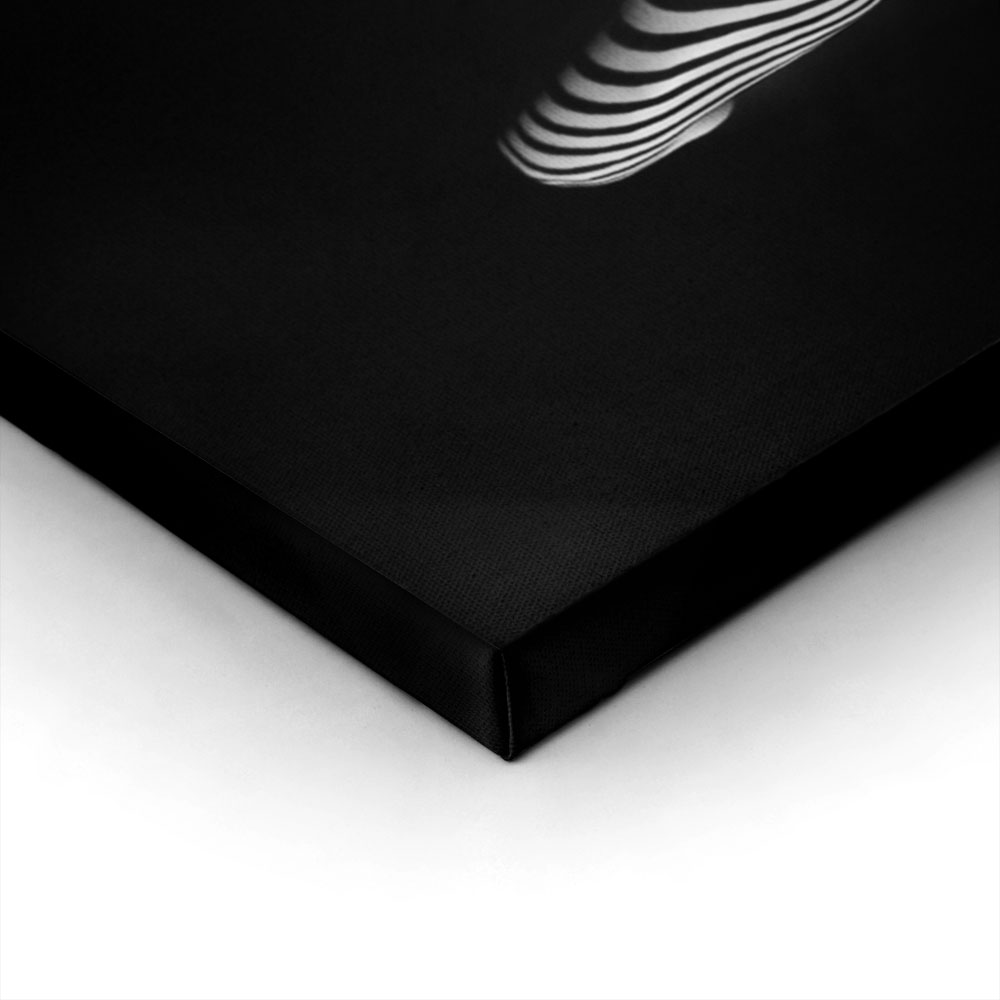 Πινακας σε καμβά REFLECTIONS 33