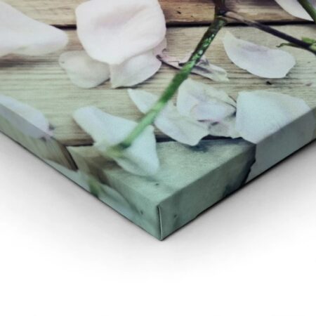 Πινακας σε καμβά ROMANTIC BEAUTIFUL ROSES - Τριανταφυλλα Sticky 1