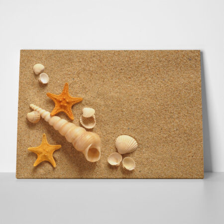 Πινακας σε καμβά SAND SHELLS - Κοχυλια