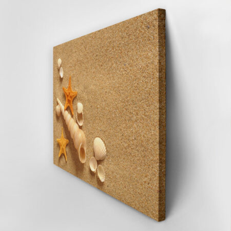 Πινακας σε καμβά SAND SHELLS - Κοχυλια Sticky 2