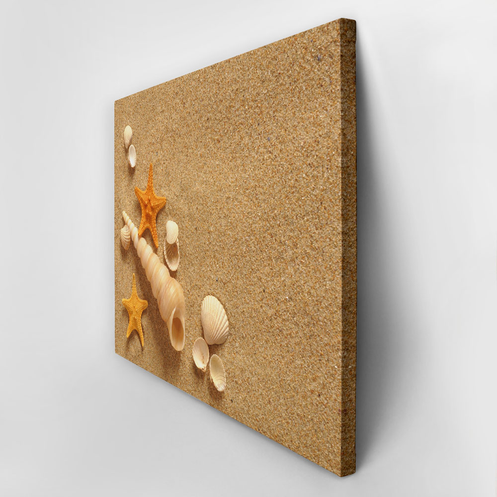Πινακας σε καμβά SAND SHELLS