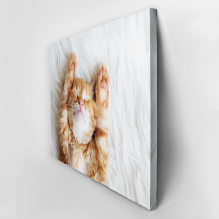 Πινακας σε καμβά SLEEPING CAT - Γατες Sticky 2