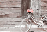Πινακας σε καμβά VINTAGE BICYCLE 2