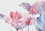 Πινακας σε καμβά WATERCOLOR BOTANICAL ILLUSTRATION LOTUS FLOWER