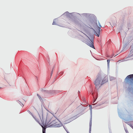 Πινακας σε καμβά WATERCOLOR BOTANICAL ILLUSTRATION LOTUS FLOWER - Botanical - Φυτα Sticky 4