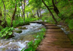 Πινακας σε καμβά WOODEN PATH