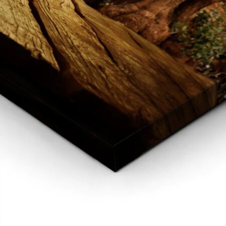 Πινακας σε καμβά WOODEN TABLE WITH OLIVE TREE - Υπαιθρος Sticky 1