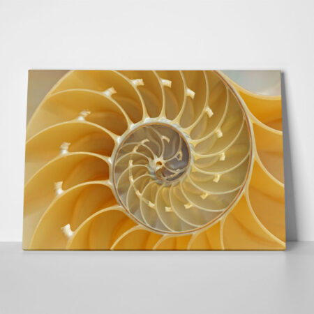 Πινακας σε καμβά YELLOW SHELL