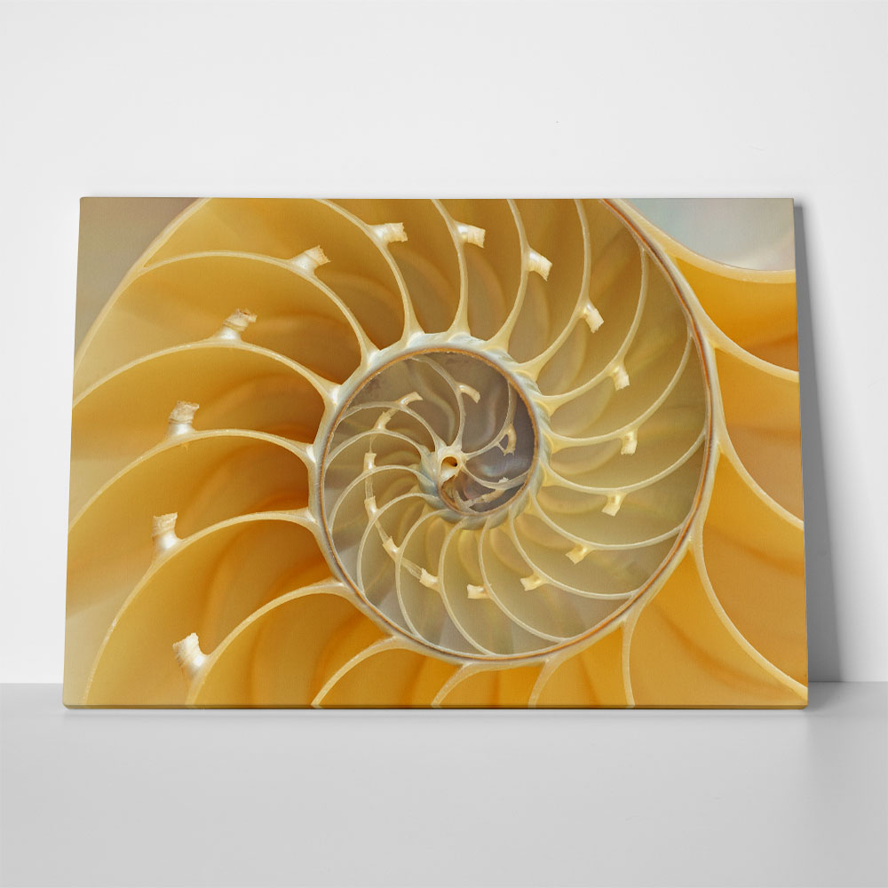 Πινακας σε καμβά YELLOW SHELL