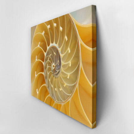 Πινακας σε καμβά YELLOW SHELL - Κοχυλια Sticky 2