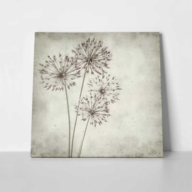 Πίνακας σε καμβά TEXTURED OLD PAPER BACKGROUND ALLIUM