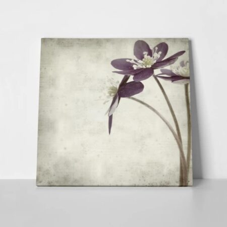 Πίνακας σε καμβά TEXTURED OLD PAPER BACKGROUND ANEMONE HEPATICA - Ανεμωνες Sticky 1
