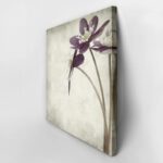 Πίνακας σε καμβά TEXTURED OLD PAPER BACKGROUND ANEMONE HEPATICA