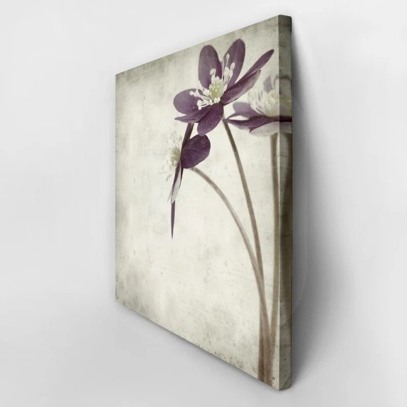 Πίνακας σε καμβά TEXTURED OLD PAPER BACKGROUND ANEMONE HEPATICA