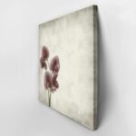 Πίνακας σε καμβά TEXTURED OLD PAPER BACKGROUND LATHYRUS TINGITANUS