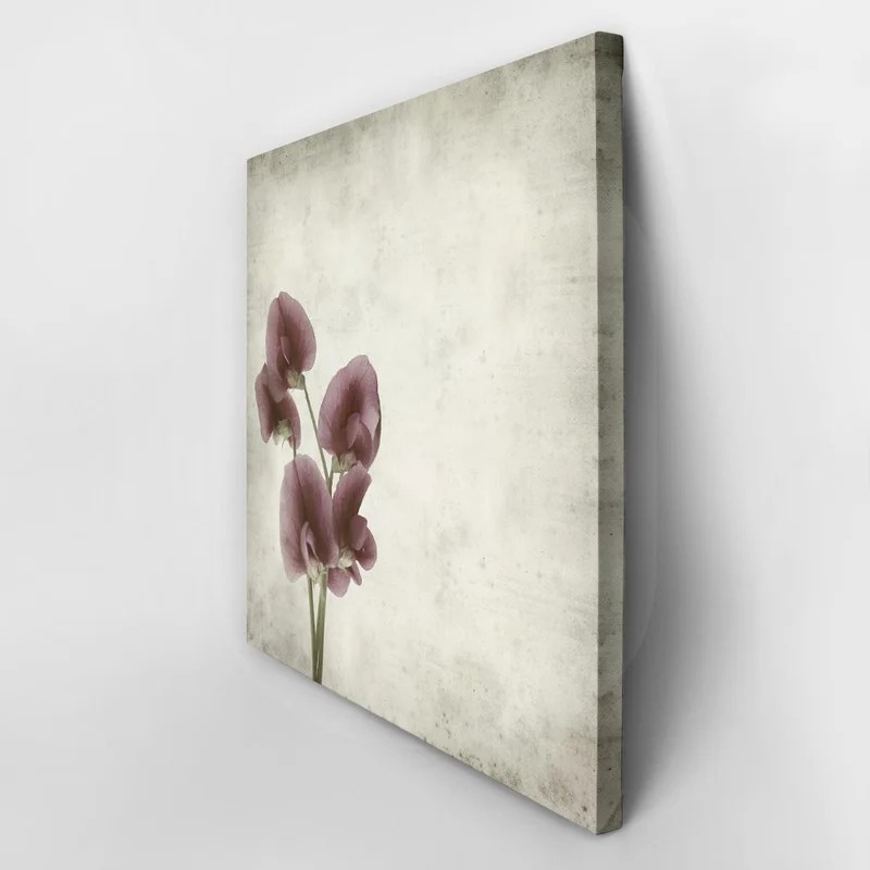 Πίνακας σε καμβά TEXTURED OLD PAPER BACKGROUND LATHYRUS TINGITANUS