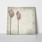Πίνακας σε καμβά TEXTURED OLD PAPER BACKGROUND PINK ANTHURIUM