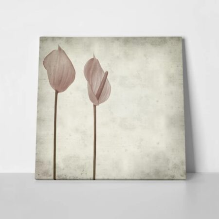 Πίνακας σε καμβά TEXTURED OLD PAPER BACKGROUND PINK ANTHURIUM - Floral - Λουλουδια Sticky 1