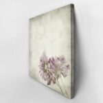 Πίνακας σε καμβά TEXTURED OLD PAPER BACKGROUND SCABIOSA FLOWER