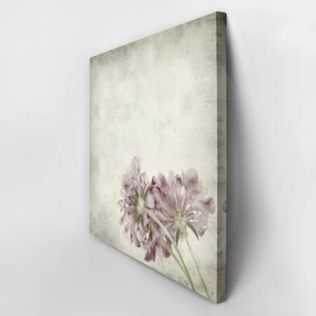 Πίνακας σε καμβά TEXTURED OLD PAPER BACKGROUND SCABIOSA FLOWER - Floral - Λουλουδια Sticky 2