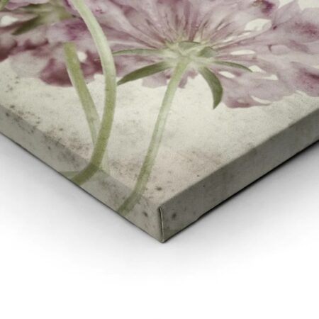 Πίνακας σε καμβά TEXTURED OLD PAPER BACKGROUND SCABIOSA FLOWER - Floral - Λουλουδια Sticky 1