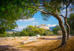 Πινακας σε καμβά ACROPOLIS HILL