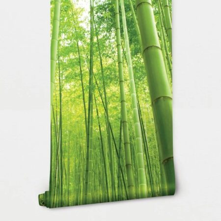 Αυτοκόλλητη Ταπετσαρία τοίχου BAMBOO FOREST - Τοπία Sticky 2