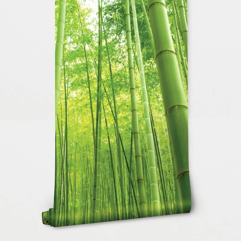 Αυτοκόλλητη Ταπετσαρία τοίχου BAMBOO FOREST