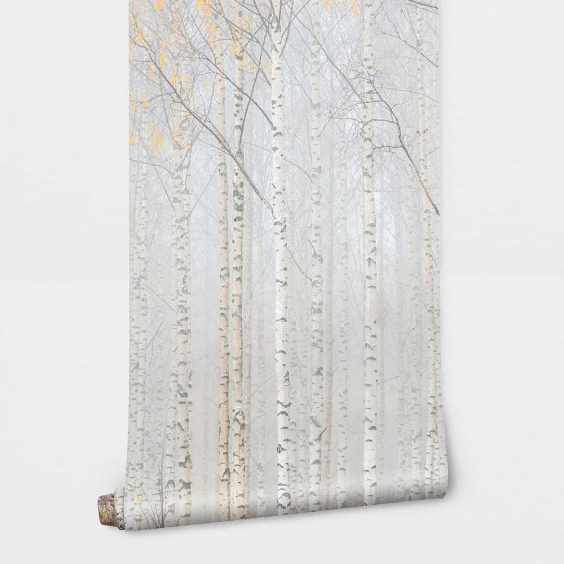 Αυτοκόλλητη Ταπετσαρία τοίχου FOG IN BIRCH FOREST