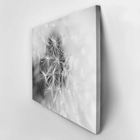 Πινακας σε καμβά BLACK AND WHITE DANDELION MACRO - Dandelion Sticky 2