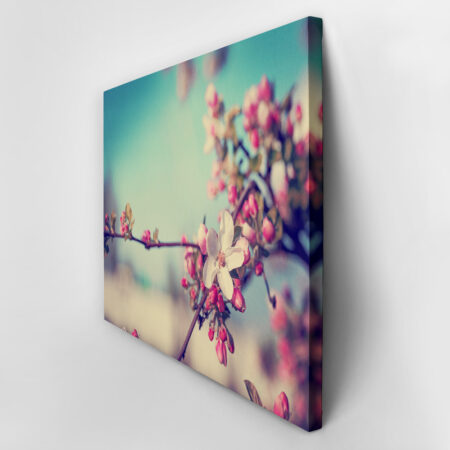 Πινακας σε καμβά BLOSSOM FLOWER - Floral - Λουλουδια Sticky 2