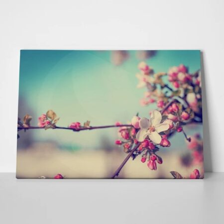 Πινακας σε καμβά BLOSSOM FLOWER - Floral - Λουλουδια