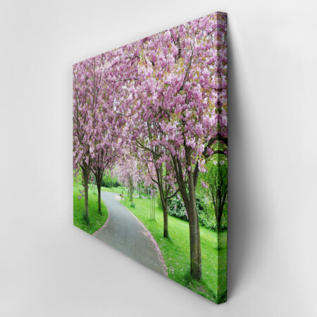 Πινακας σε καμβά CHERRY BLOSSOM PATH - Ανθη Δεντρων Sticky 2