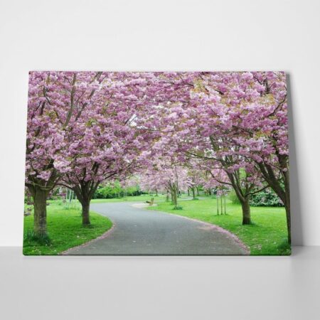 Πινακας σε καμβά CHERRY BLOSSOM PATH - Ανθη Δεντρων