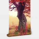 Αυτοκόλλητη Ταπετσαρία τοίχου COLOURFUL AUTUMN