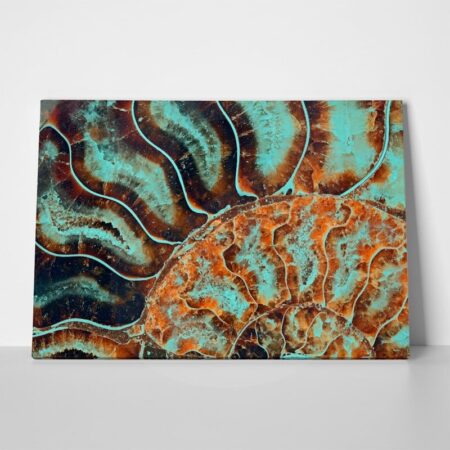 Πινακας σε καμβά FOSSIL AMMONITE MACRO - Κοχυλια