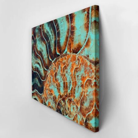 Πινακας σε καμβά FOSSIL AMMONITE MACRO - Κοχυλια Sticky 2