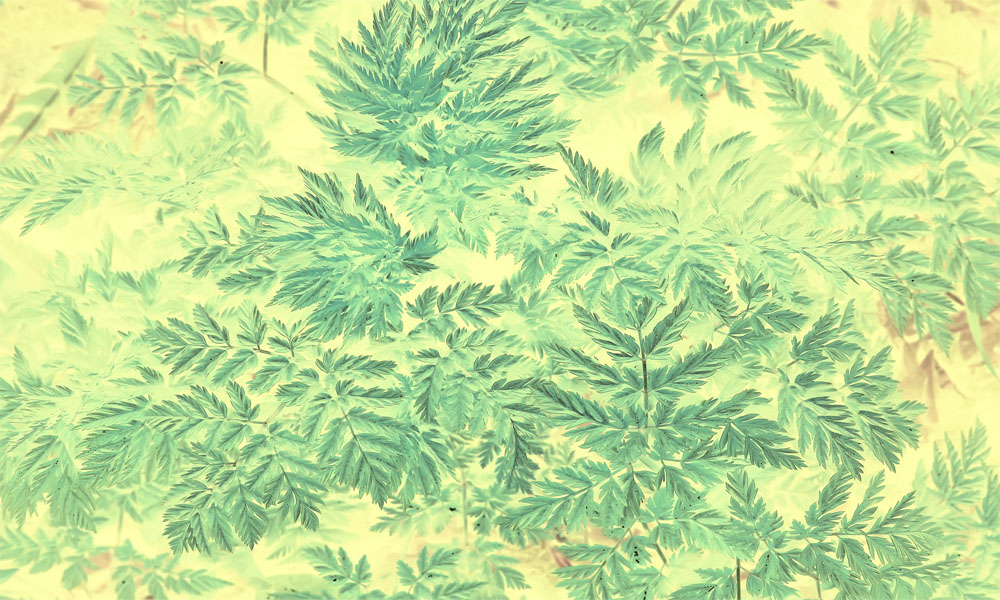crop image