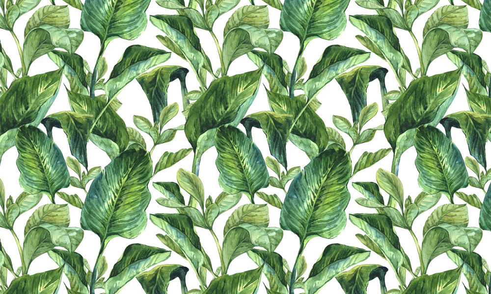 crop image
