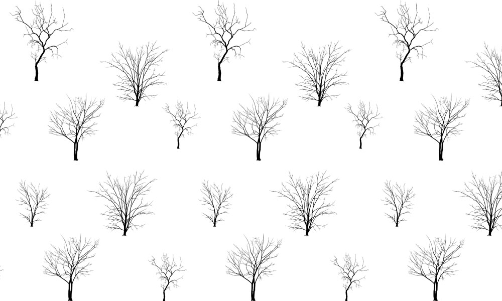 crop image