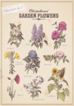 Πινακας σε καμβά OLD FASHIONED FLOWERS