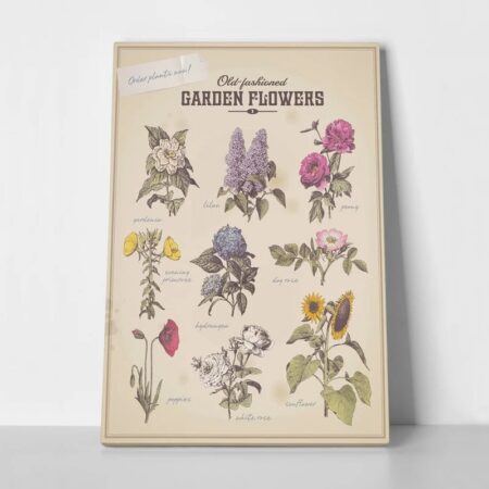 Πινακας σε καμβά OLD FASHIONED FLOWERS - Botanical - Φυτα