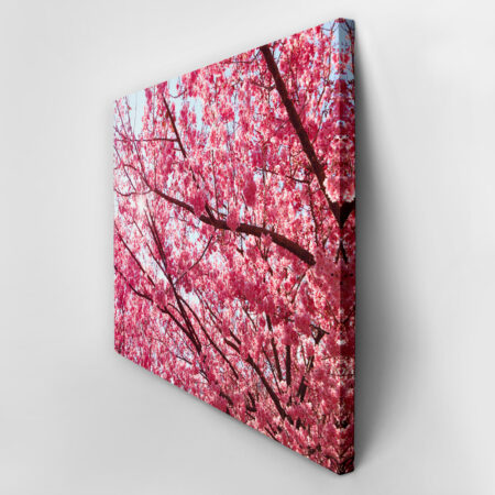 Πινακας σε καμβά PINK BLOSSOM - Ανθη Δεντρων Sticky 2