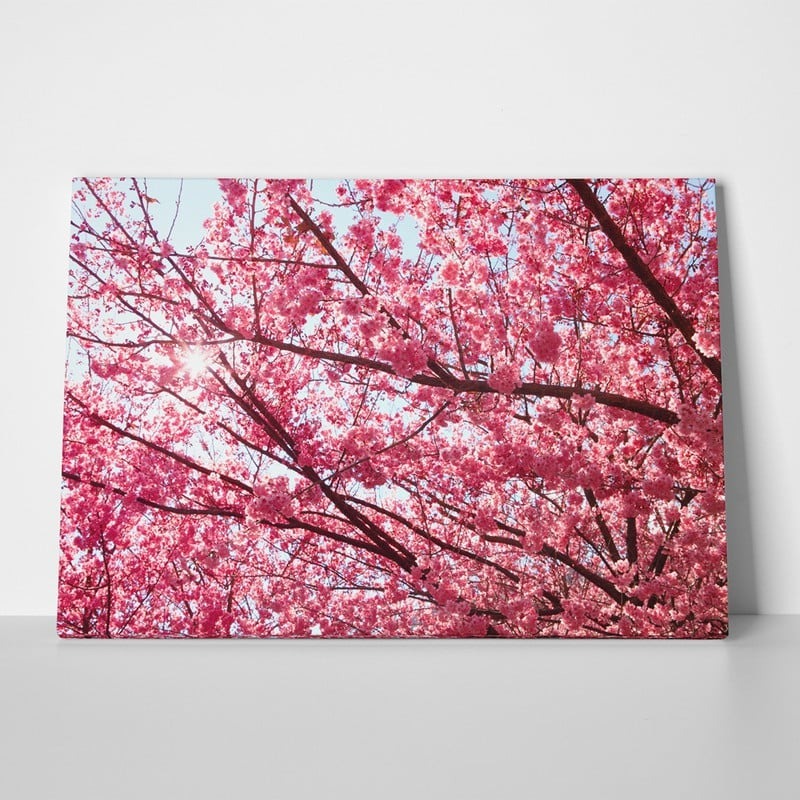 Πινακας σε καμβά PINK BLOSSOM