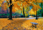 Πινακας σε καμβά PUBLIC GARDEN