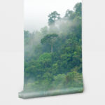 Αυτοκόλλητη Ταπετσαρία τοίχου RAINFOREST FOG