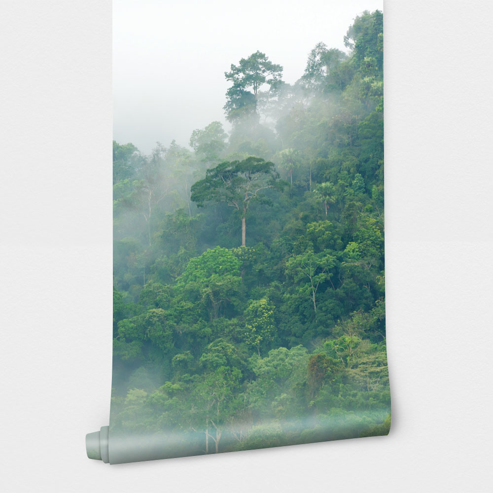 Αυτοκόλλητη Ταπετσαρία τοίχου RAINFOREST FOG